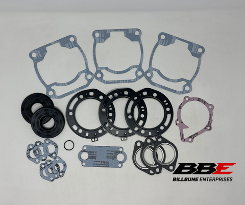 ‘96-‘98 Polaris 800 Storm, Storm RMK Complete Gasket Set with Oil Seals 711218