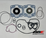 ‘99-'01 Polaris 700 RMK, XC, SKS, XC SP Complete Gasket set with Oil Seals 711231