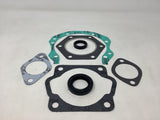 290 Sachs Gasket Set With Crankshaft Seals SA290R, SA290SS, 711011A
